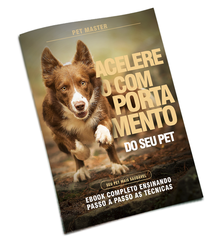 mundo pets — imagem 3